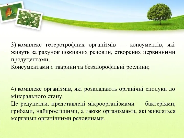 3) комплекс гетеротрофних організмів — консументів, які живуть за рахунок