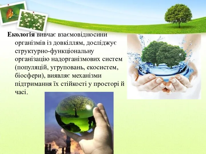 Екологія вивчає взаємовідносини організмів із довкіллям, досліджує структурно-функціональну організацію надорганізмових