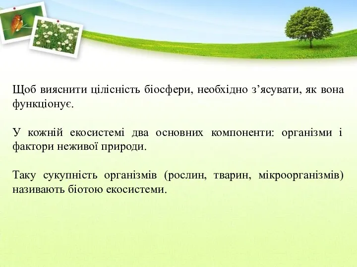 Щоб вияснити цілісність біосфери, необхідно з’ясувати, як вона функціонує. У