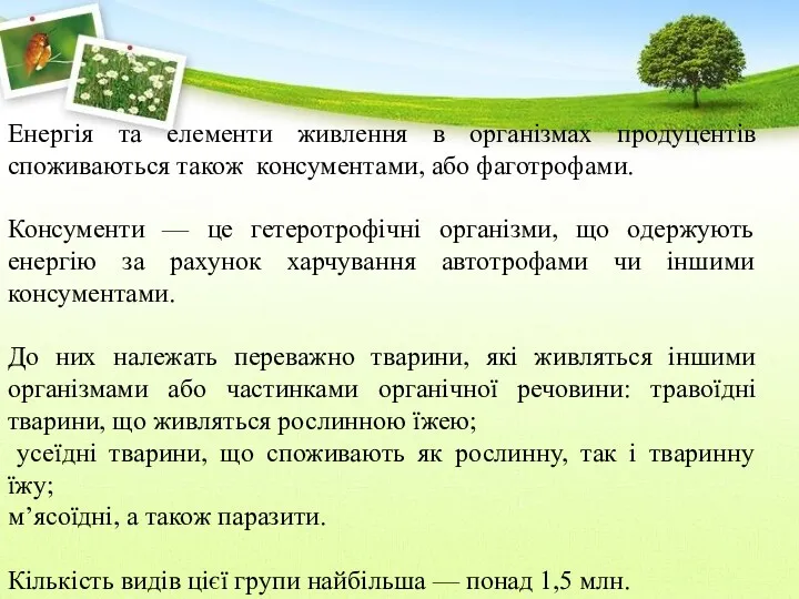 Енергія та елементи живлення в організмах продуцентів споживаються також консументами,