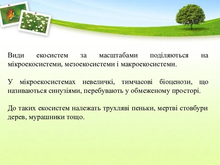 Види екосистем за масштабами поділяються на мікроекосистеми, мезоекосистеми і макроекосистеми.