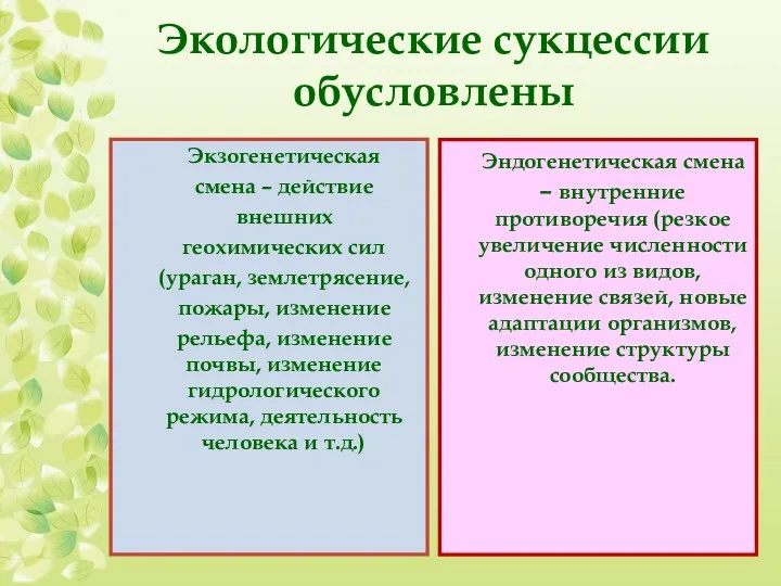 Экологические сукцессии обусловлены Экзогенетическая смена – действие внешних геохимических сил