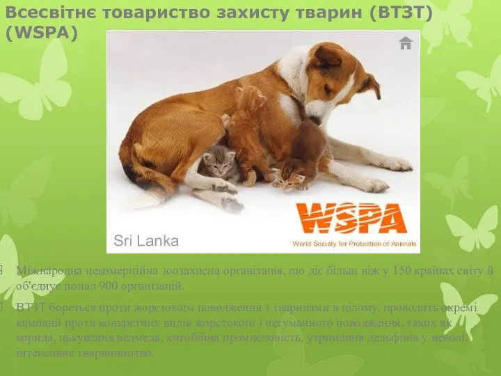 Всесвітнє товариство захисту тварин (ВТЗТ) (WSPA) Міжнародна некомерційна зоозахисна організація,