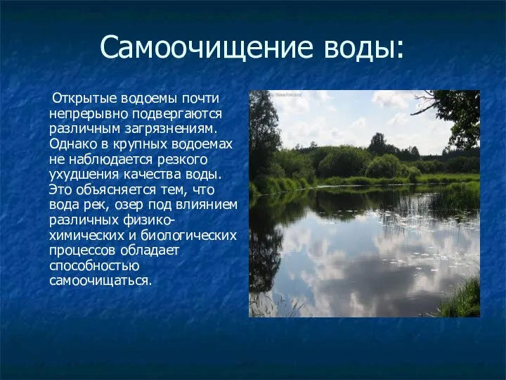 Самоочищение воды: Открытые водоемы почти непрерывно подвергаются различным загрязнениям. Однако