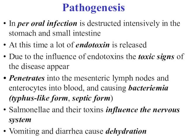 Pathogenesis In per oral infection is destructed intensively in the