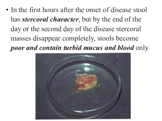 In the first hours after the onset of disease stool