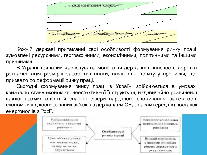 Кожній державі притаманні свої особливості формування ринку праці зумовлені ресурсними,