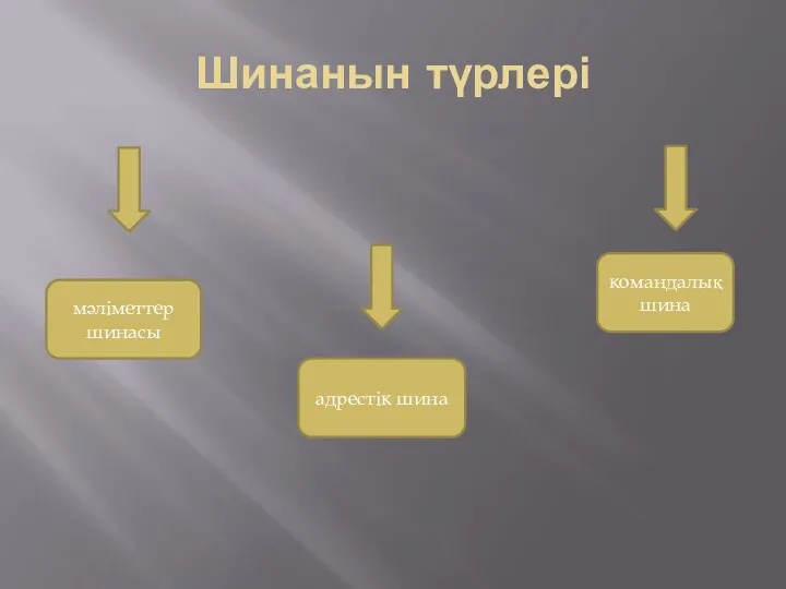 Шинанын түрлері мәліметтер шинасы адрестік шина командалық шина