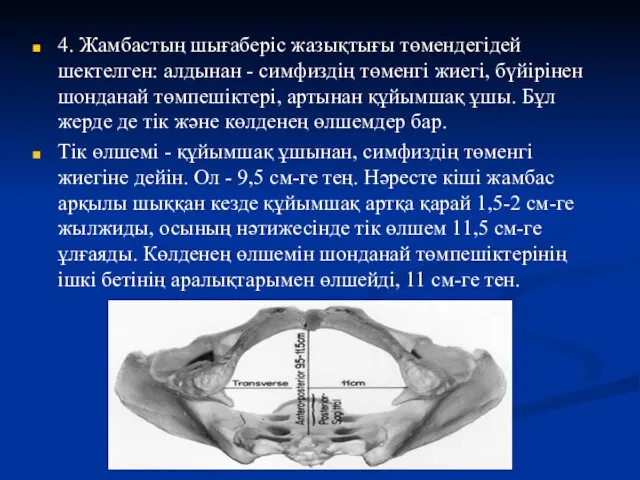 4. Жамбастың шығаберіс жазықтығы төмендегідей шектелген: алдынан - симфиздің төменгі