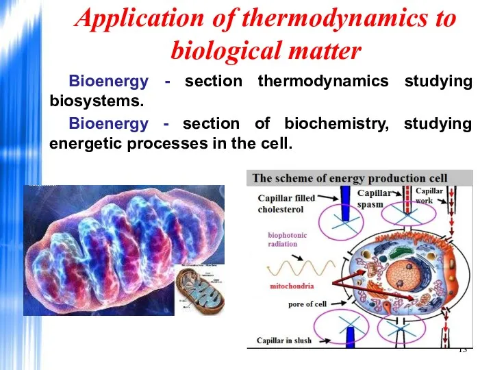 Application of thermodynamics to biological matter Bioenergy - section thermodynamics studying biosystems. Bioenergy
