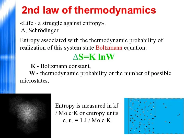 «Life - a struggle against entropy». A. Schrödinger Entropy associated