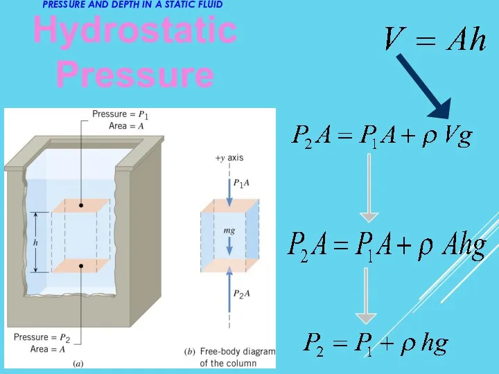 Hydrostatic Pressure PRESSURE AND DEPTH IN A STATIC FLUID