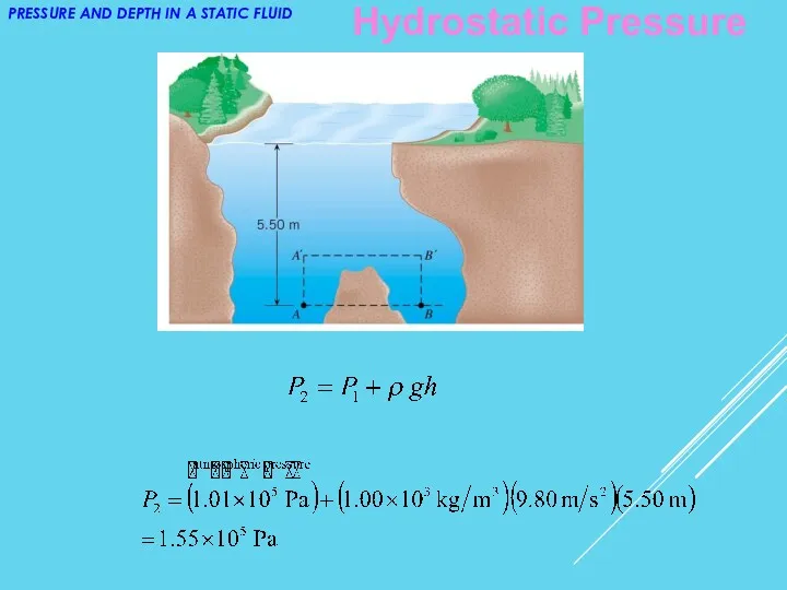 PRESSURE AND DEPTH IN A STATIC FLUID Hydrostatic Pressure