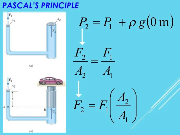 PASCAL’S PRINCIPLE