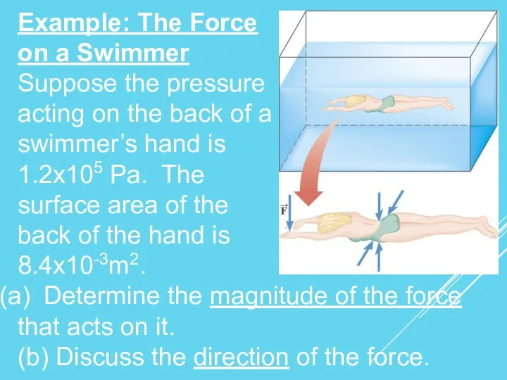 Example: The Force on a Swimmer Suppose the pressure acting