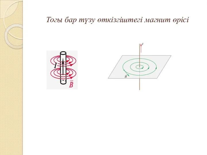 Тогы бар түзу өткізгіштегі магнит өрісі