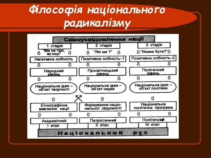 Філософія національного радикалізму