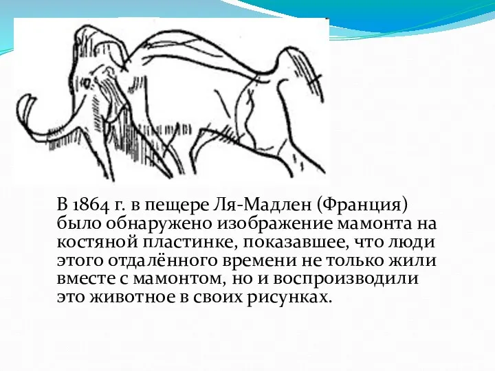 В 1864 г. в пещере Ля-Мадлен (Франция) было обнаружено изображение мамонта на костяной