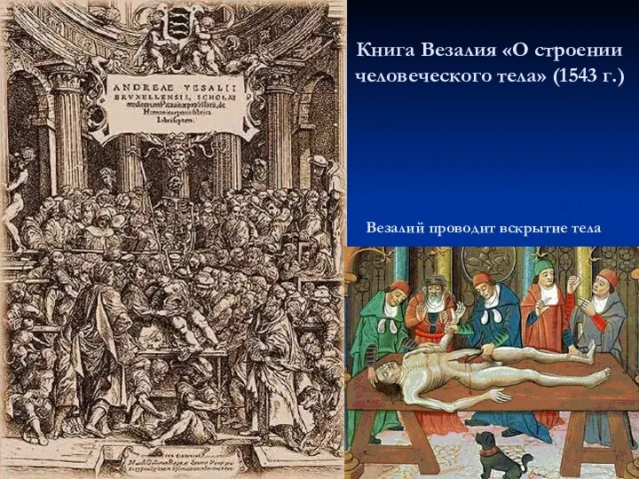 Книга Везалия «О строении человеческого тела» (1543 г.) Везалий проводит вскрытие тела