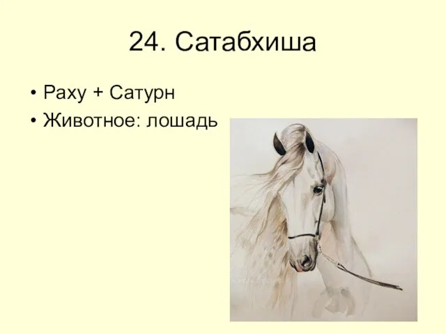 24. Сатабхиша Раху + Сатурн Животное: лошадь