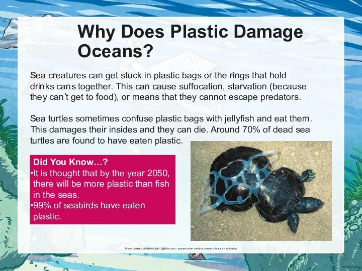 Why Does Plastic Damage Oceans? Sea creatures can get stuck