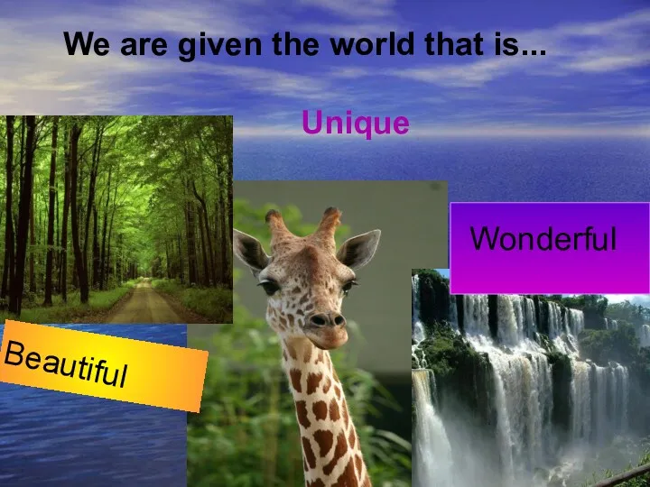 We are given the world that is... Unique Beautiful Wonderful