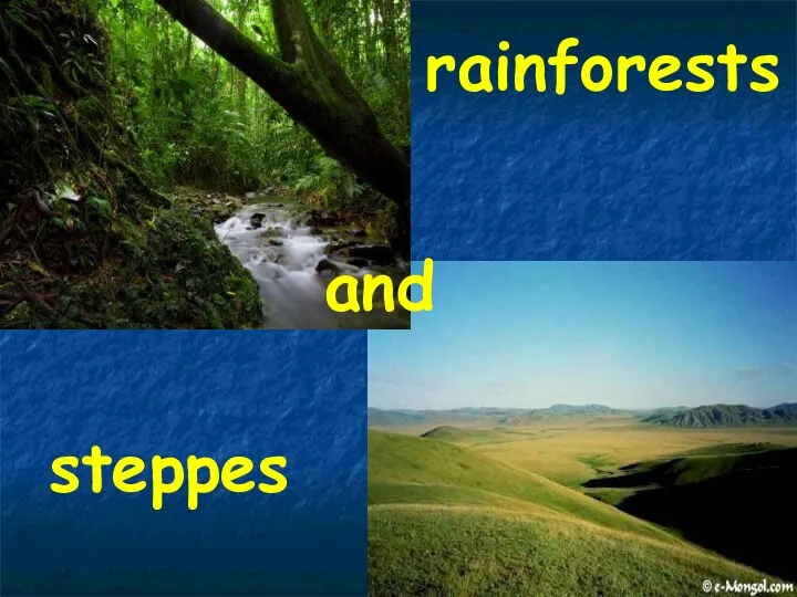 rainforests and steppes