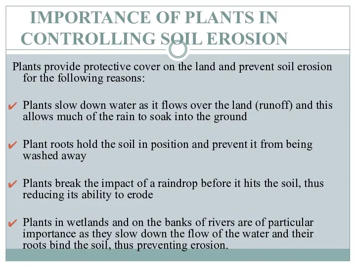 IMPORTANCE OF PLANTS IN CONTROLLING SOIL EROSION Plants provide protective cover on the