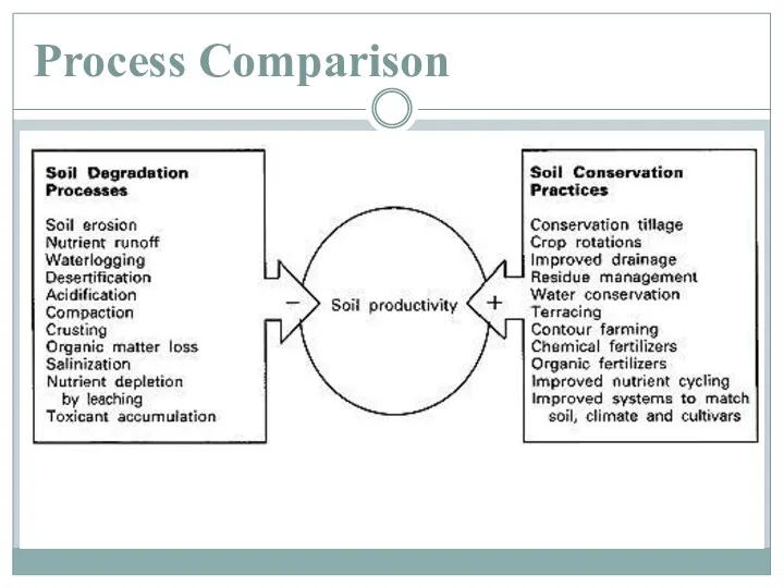 Process Comparison