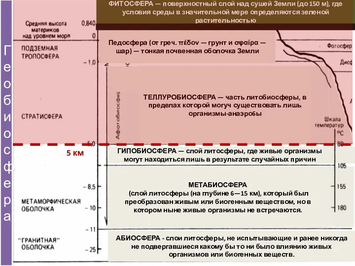 АБИОСФЕРА - слои литосферы, не испытывающие и ранее никогда не