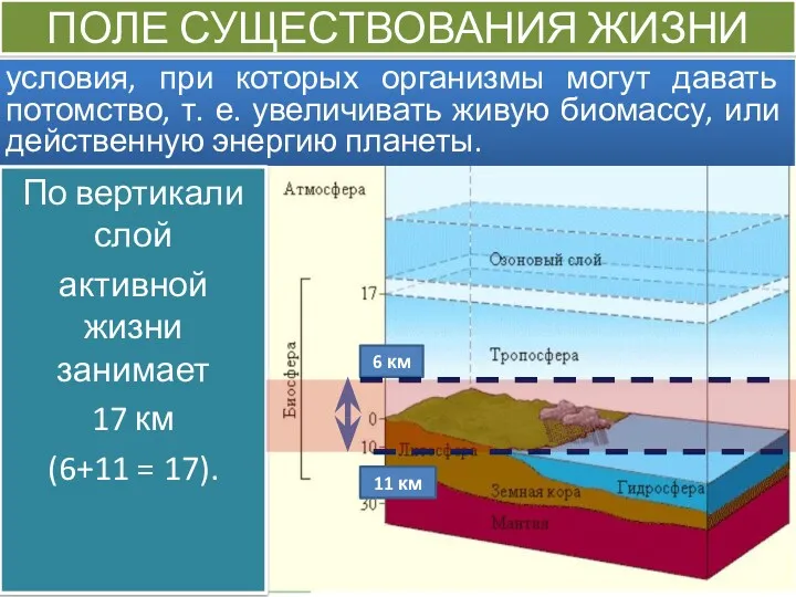 ПОЛЕ СУЩЕСТВОВАНИЯ ЖИЗНИ условия, при которых организмы могут давать потомство,