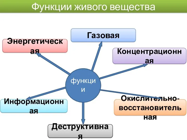 Функции живого вещества