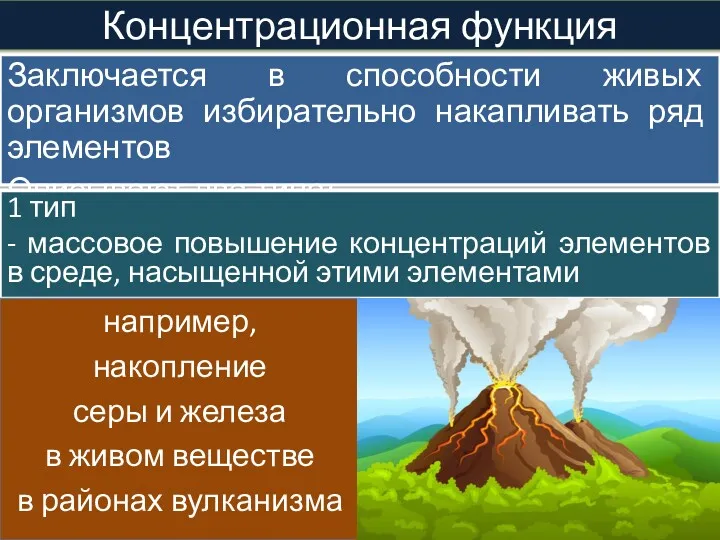 Заключается в способности живых организмов избирательно накапливать ряд элементов Описывают