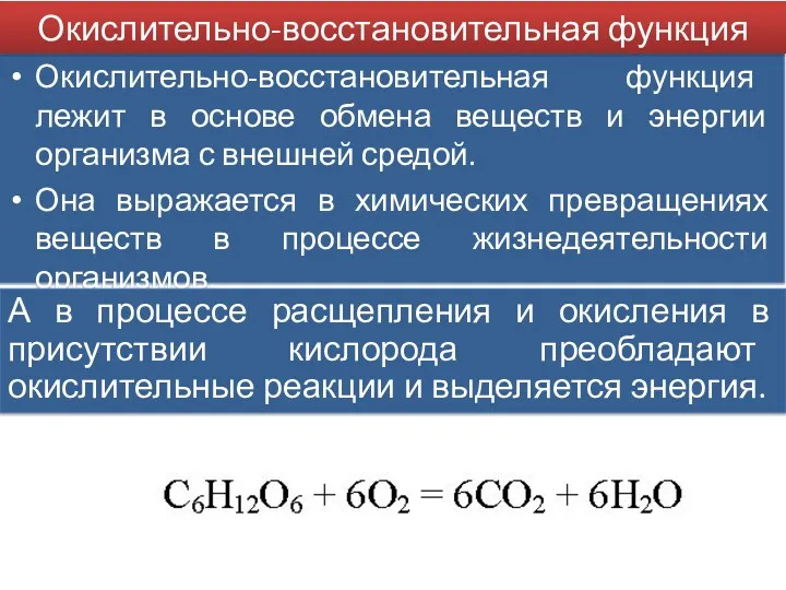 Окислительно-восстановительная функция лежит в основе обмена веществ и энергии организма