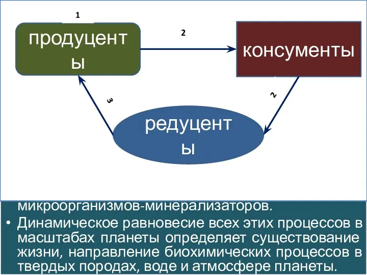 Вместе с другими геосферами биосфера образует единую планетарную экологическую систему