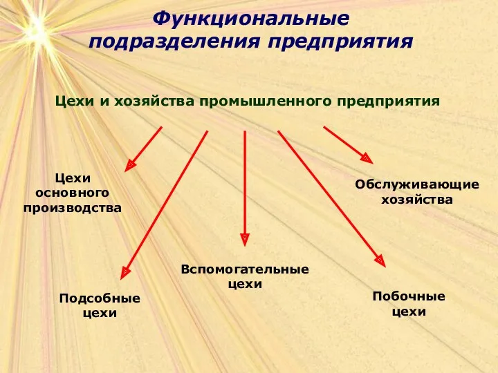 Функциональные подразделения предприятия Функциональные подразделения предприятия Цехи и хозяйства промышленного