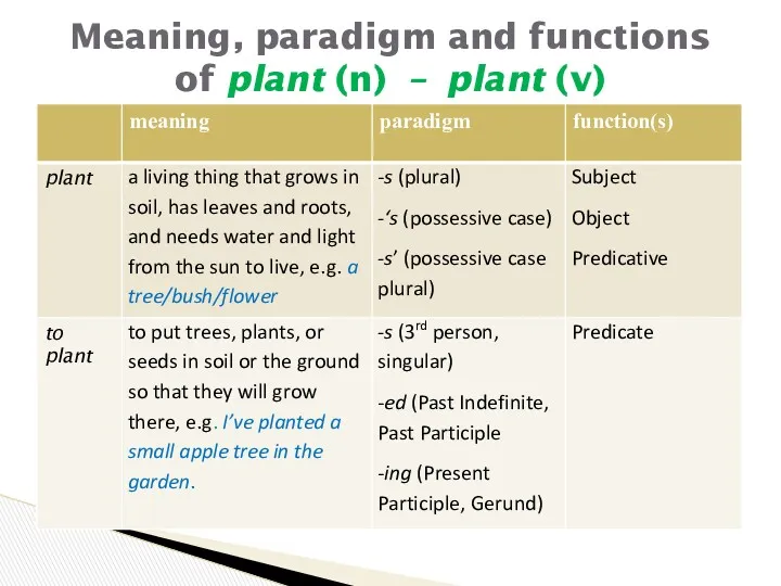 Meaning, paradigm and functions of plant (n) – plant (v)