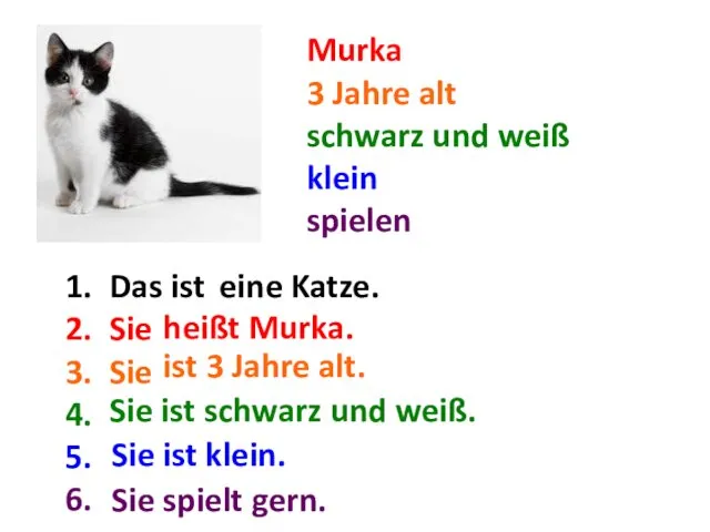 Murka 3 Jahre alt schwarz und weiß klein spielen Das