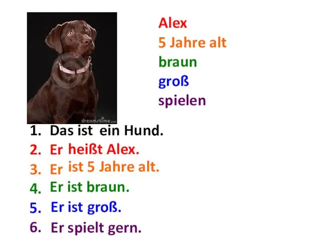 Alex 5 Jahre alt braun groß spielen Das ist ...