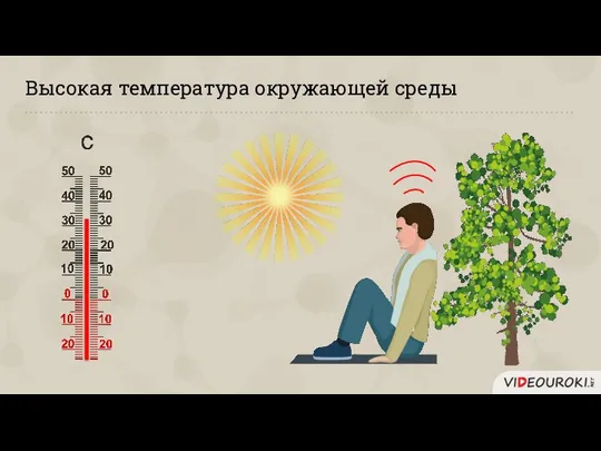 Высокая температура окружающей среды