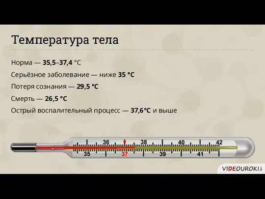 Температура тела Норма — 35,5–37,4 °C Серьёзное заболевание — ниже
