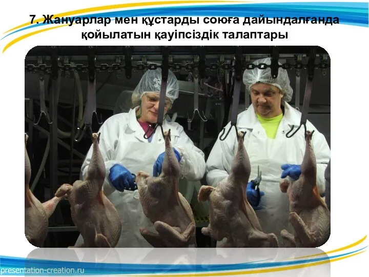 7. Жануарлар мен құстарды союға дайындалғанда қойылатын қауіпсіздік талаптары