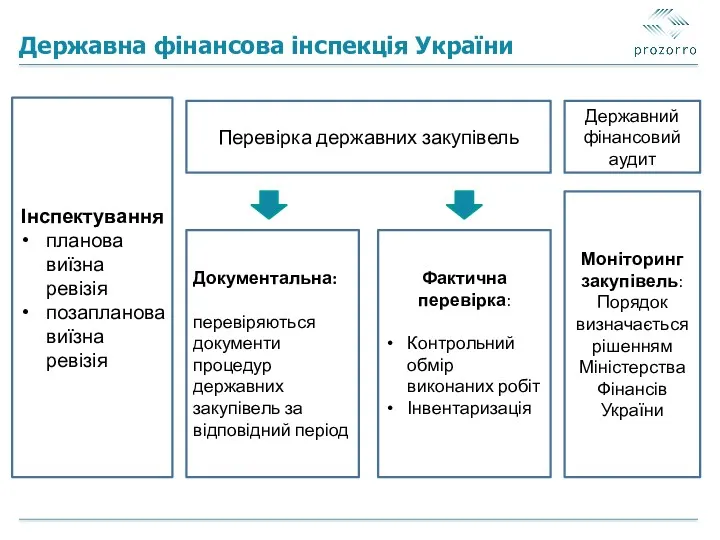 Державна фінансова інспекція України Інспектування планова виїзна ревізія позапланова виїзна