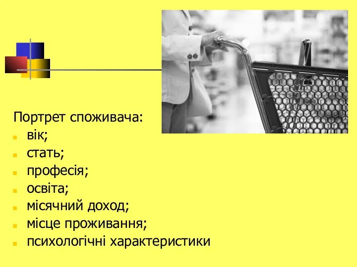 Портрет споживача: вік; стать; професія; освіта; місячний доход; місце проживання; психологічні характеристики