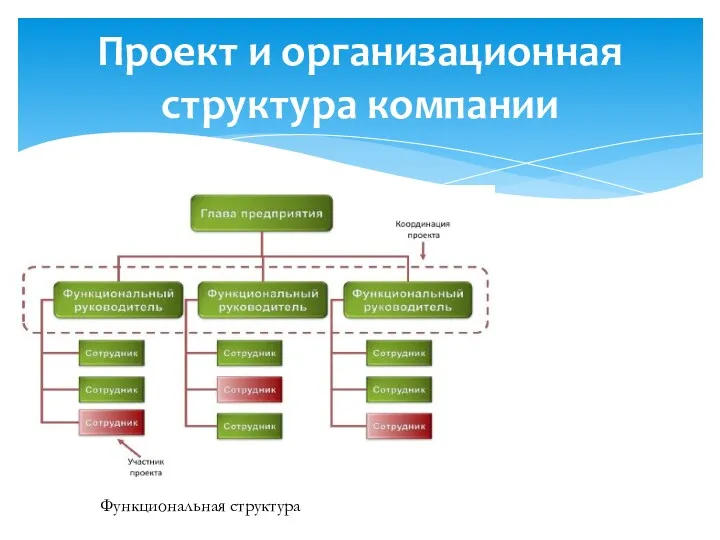 Проект и организационная структура компании Функциональная структура