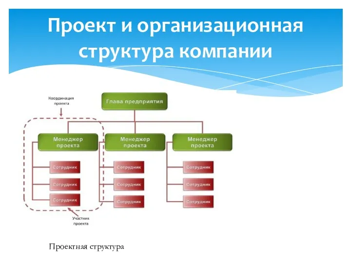 Проект и организационная структура компании Проектная структура