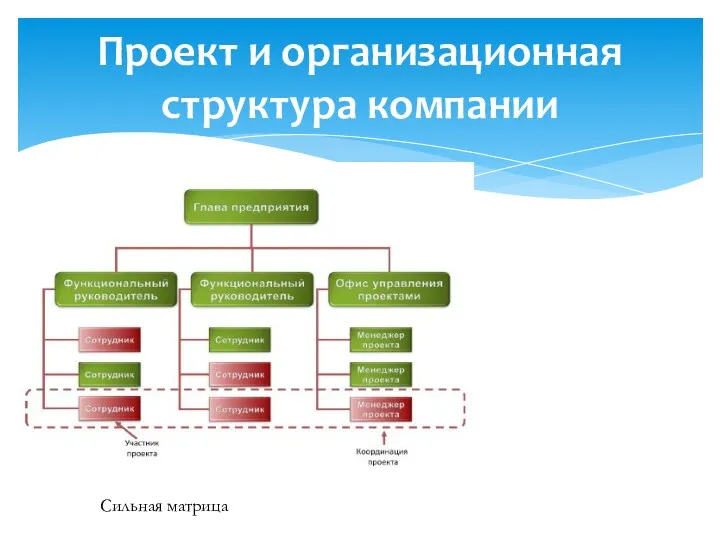 Проект и организационная структура компании Сильная матрица