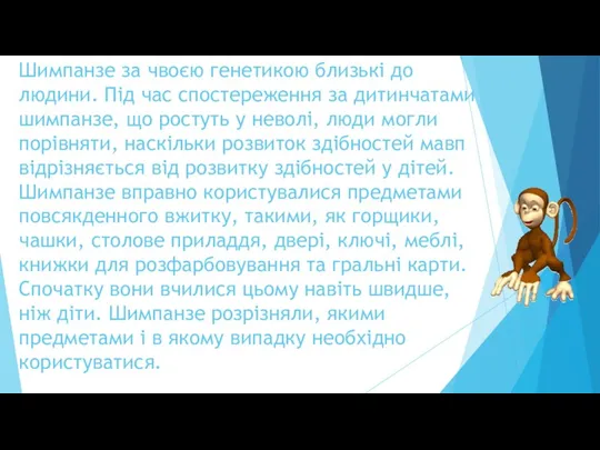 Шимпанзе за чвоєю генетикою близькі до людини. Під час спостереження