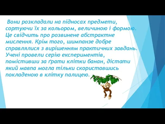 Вони розкладали на підносах предмети, сортуючи їх за кольором, величиною