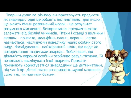 Тварини дуже по-різному використовують предмети як знаряддя: одні це роблять